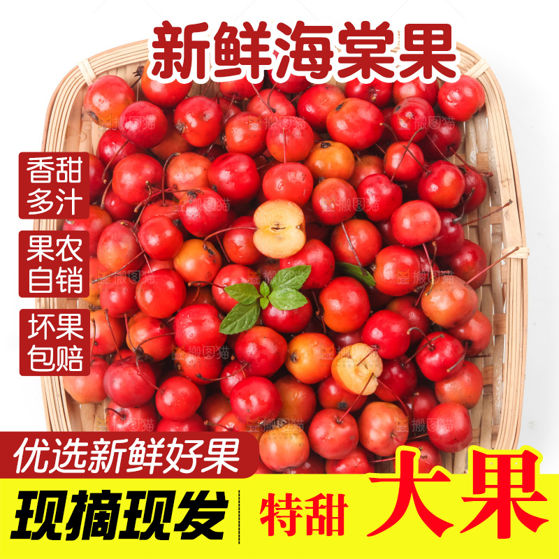 白底上放着东北海棠果