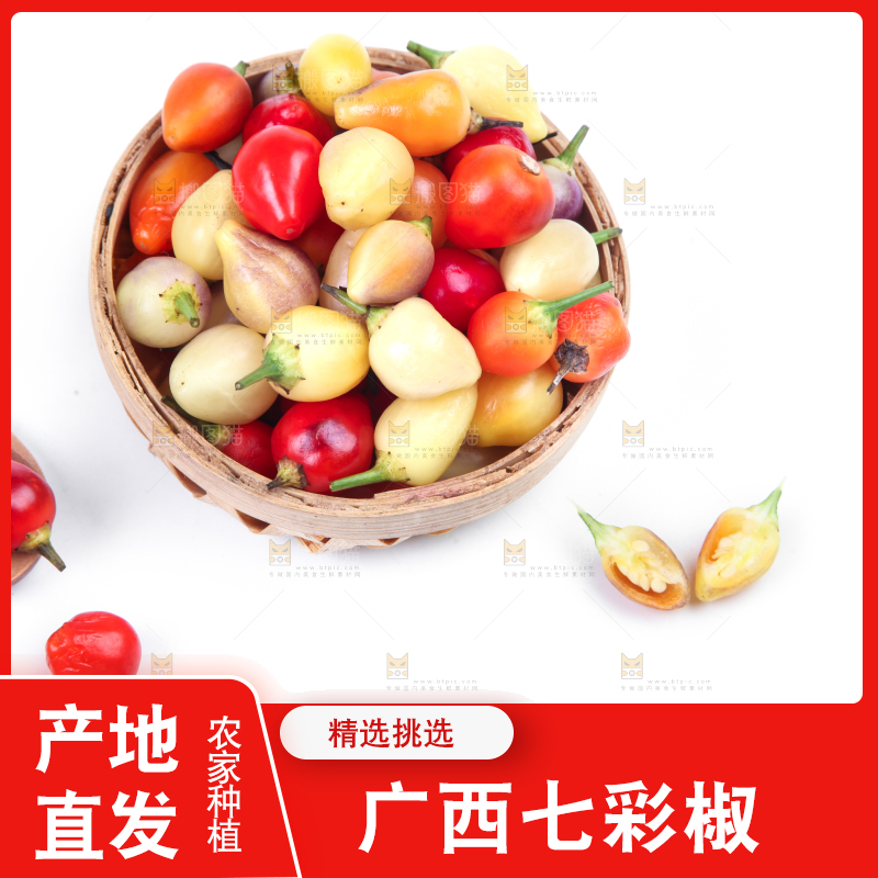 白底上的七彩椒