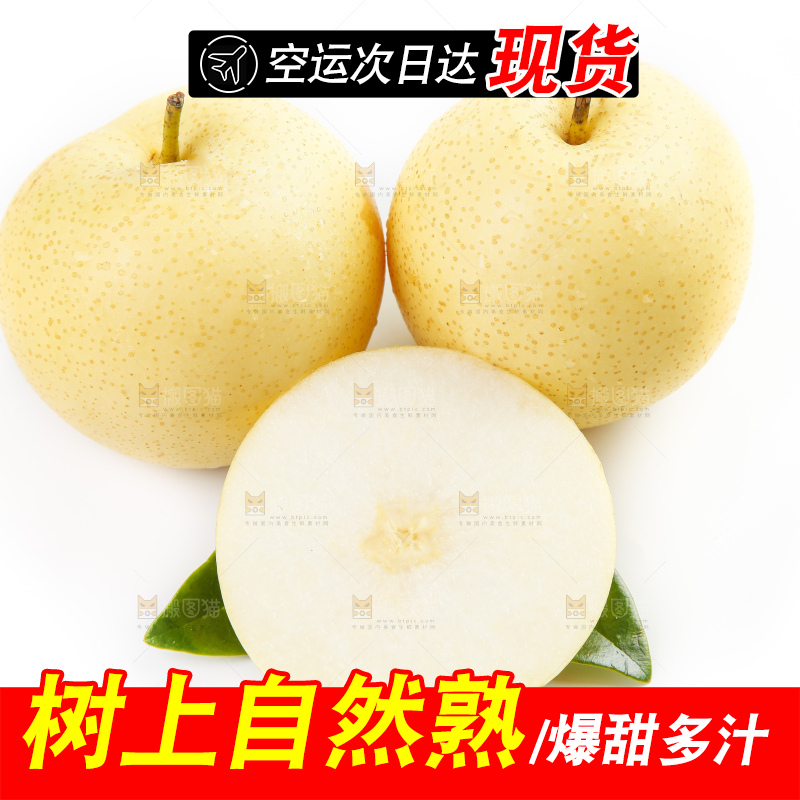白底上摆放着河北皇冠梨