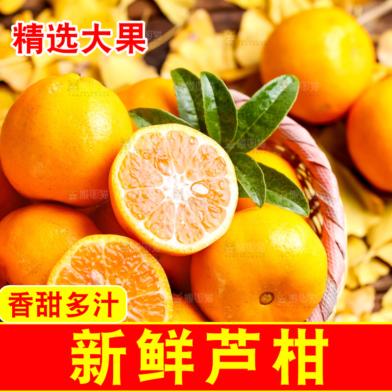 黄底上的椪柑橘