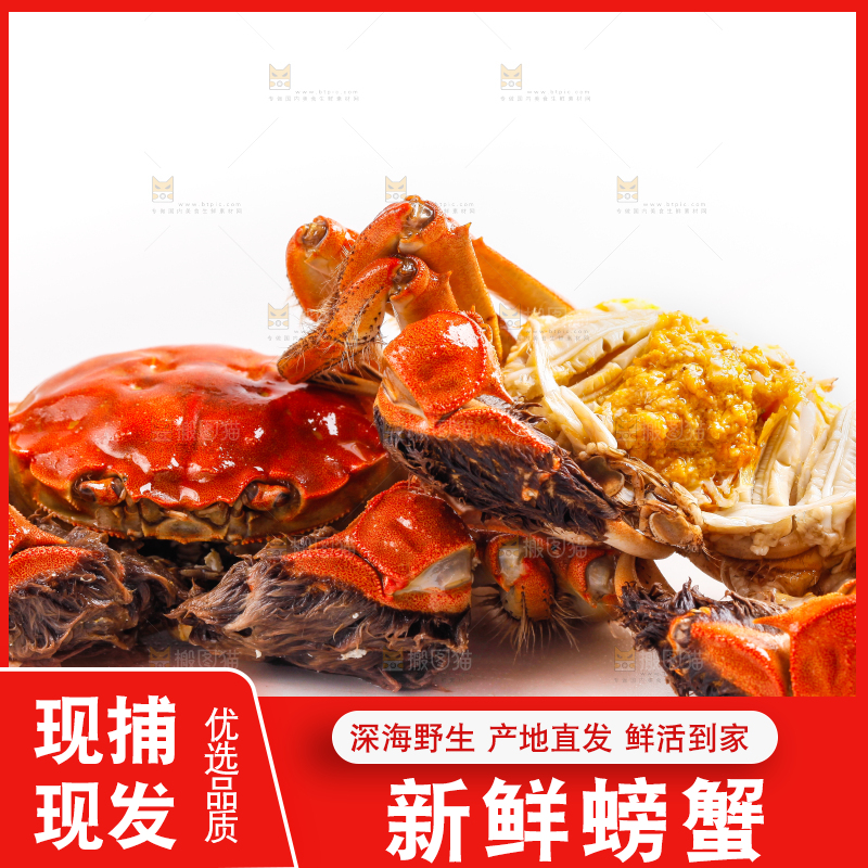 白底上的大闸蟹