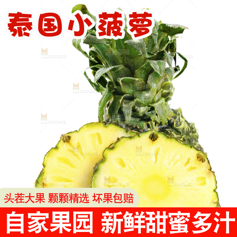 白底上的泰国迷你小菠萝