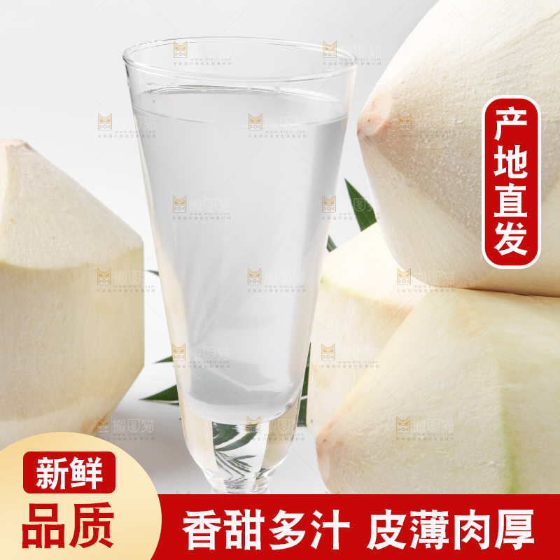 白底上放着椰青