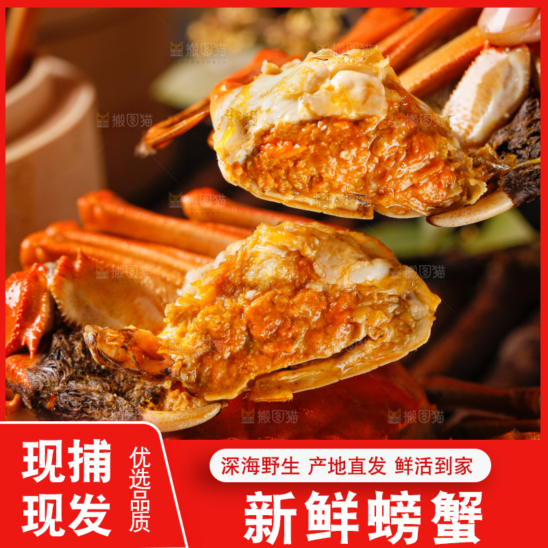筷子上夹着清蒸螃蟹