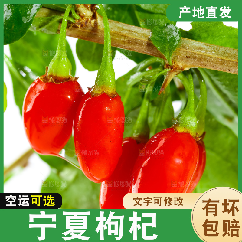 白底上放着枸杞