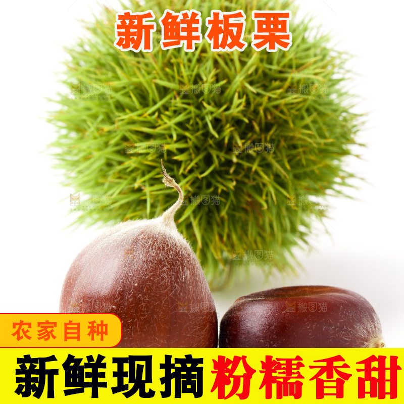 白底上放着迁西板栗