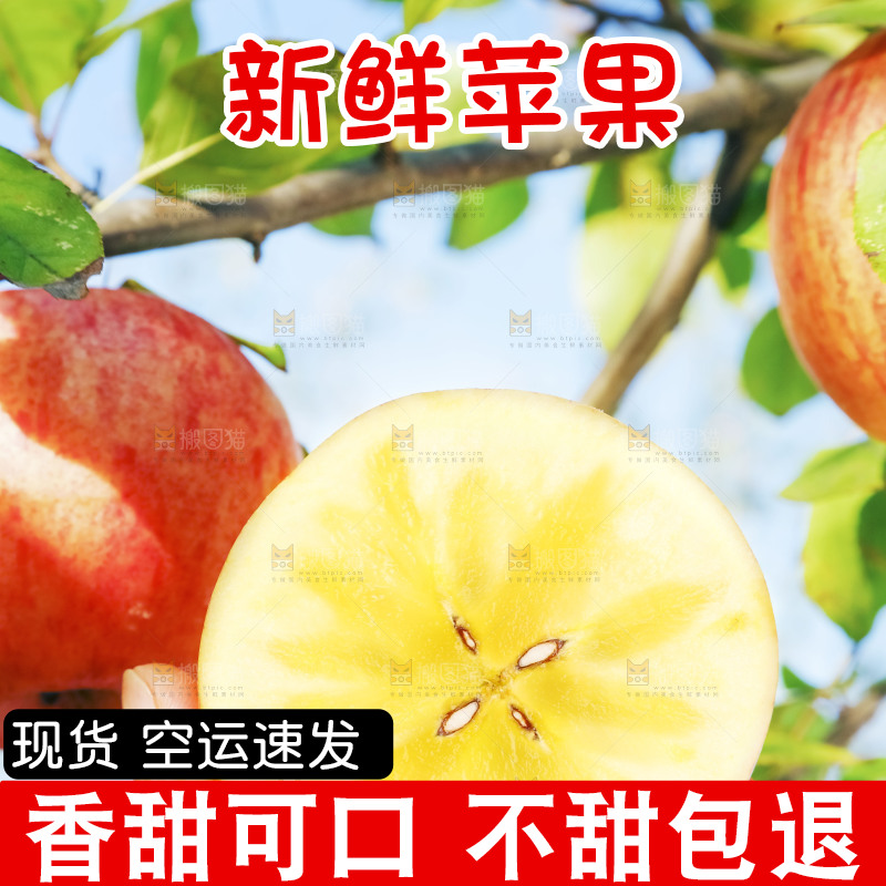 手里拿着阿克苏冰糖心苹果