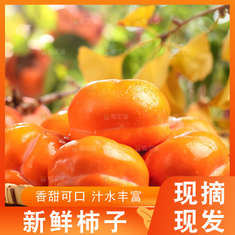 篮子里装着河北磨盘柿子