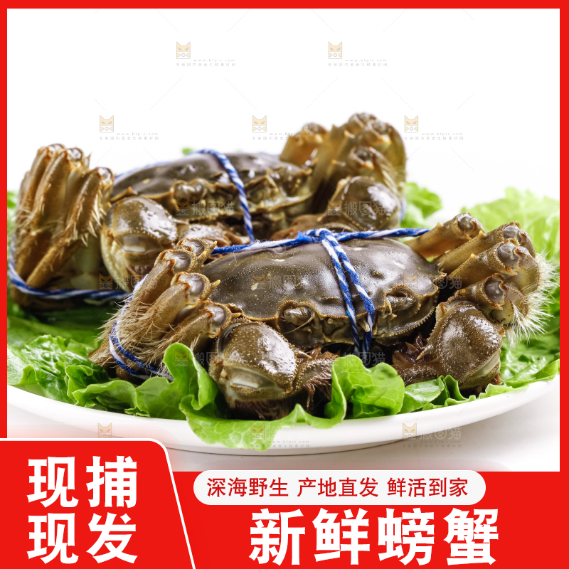 盘子里的阳澄湖大闸蟹