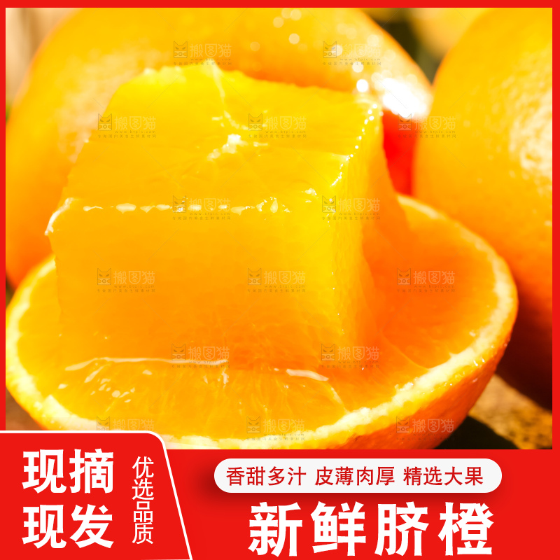 黄板子上的脐橙