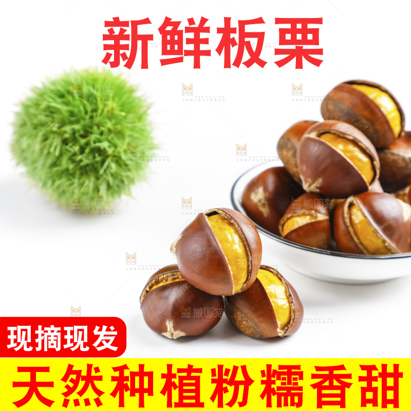 白底上的熟板栗