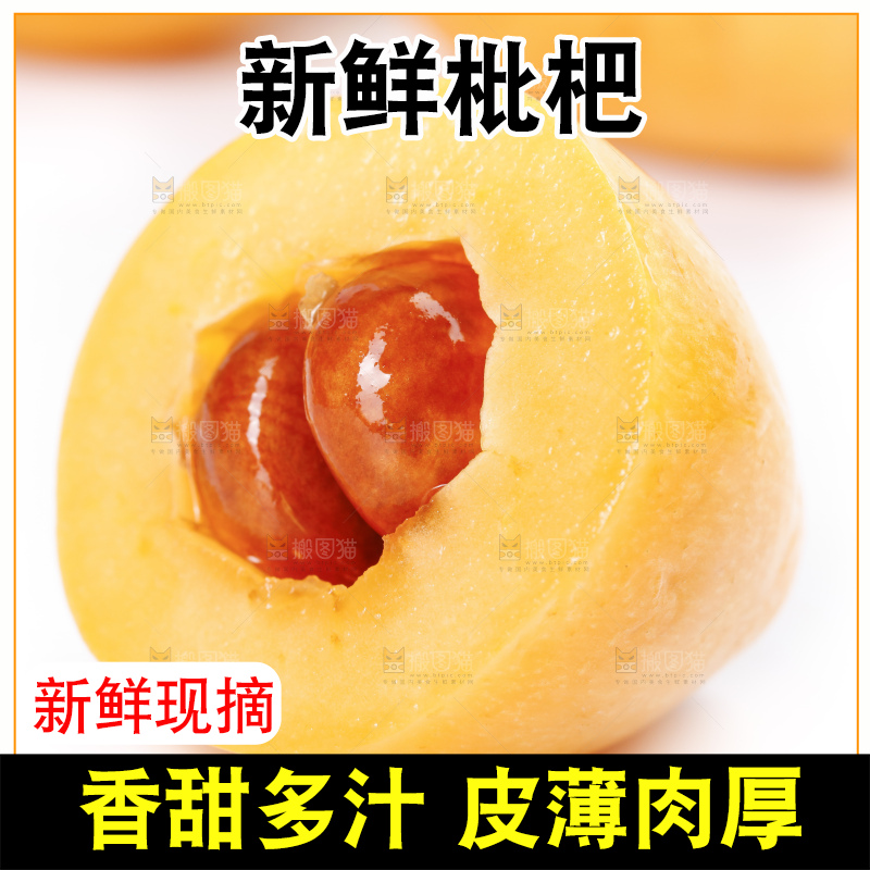 白底上放着攀枝花米易枇杷