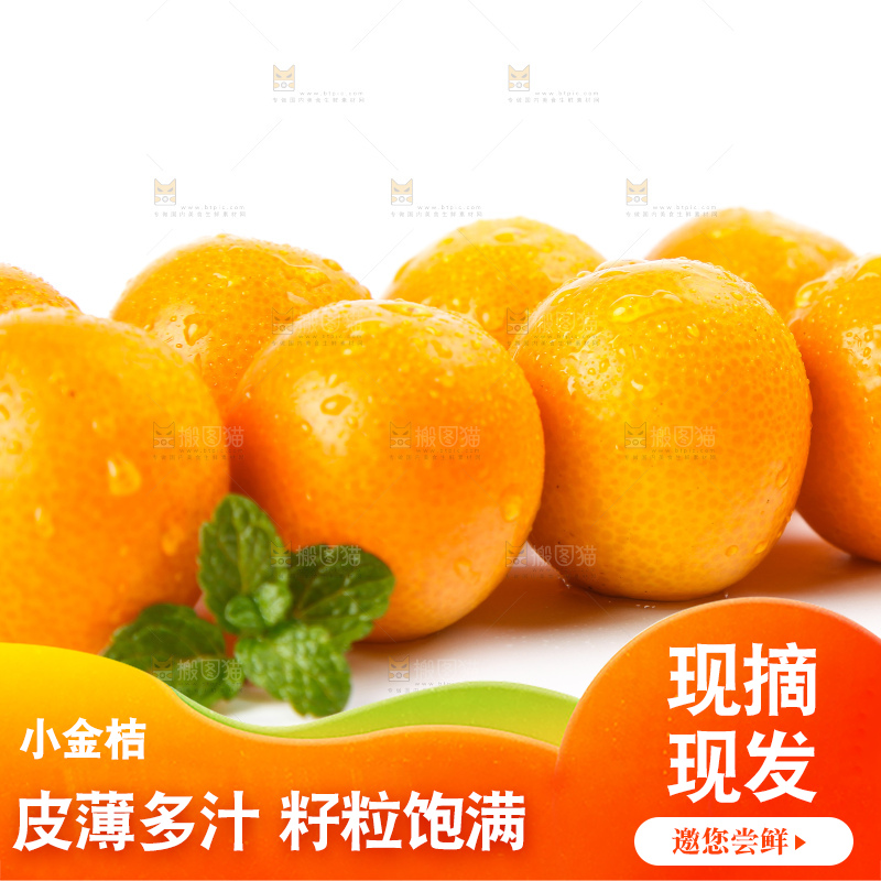 白底上的融安小金桔