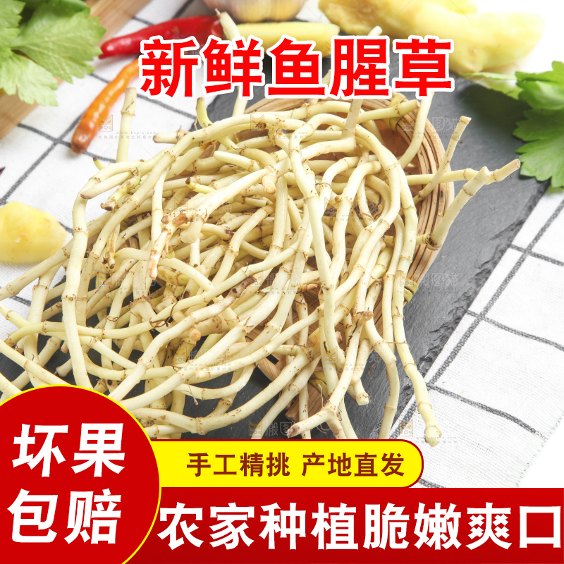 石板上放着折耳根