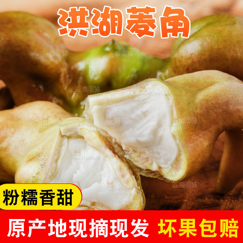 深底上的洪湖菱角