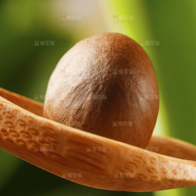 深底上的茶树果