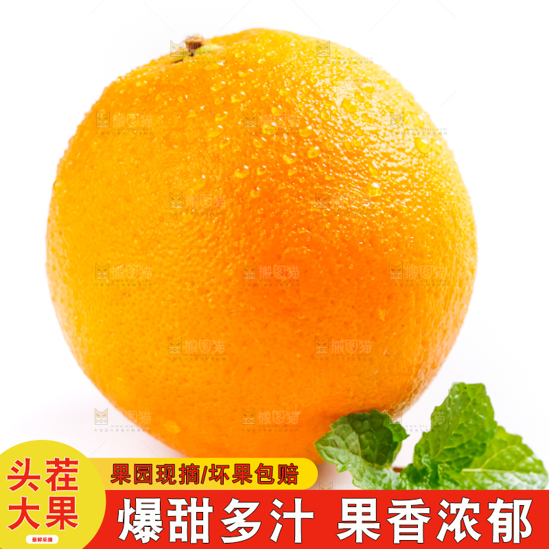 白底上的血橙