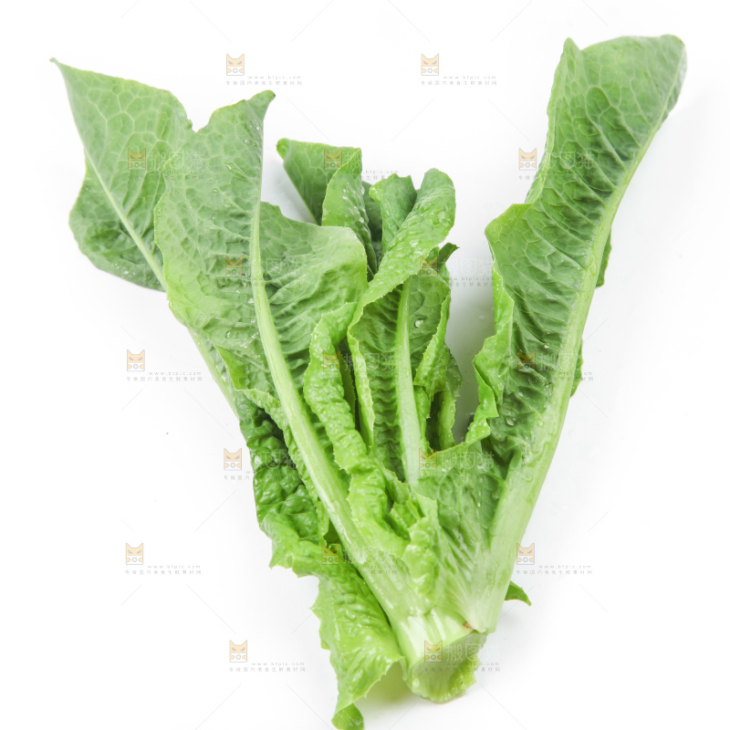 白底上的莴笋叶子