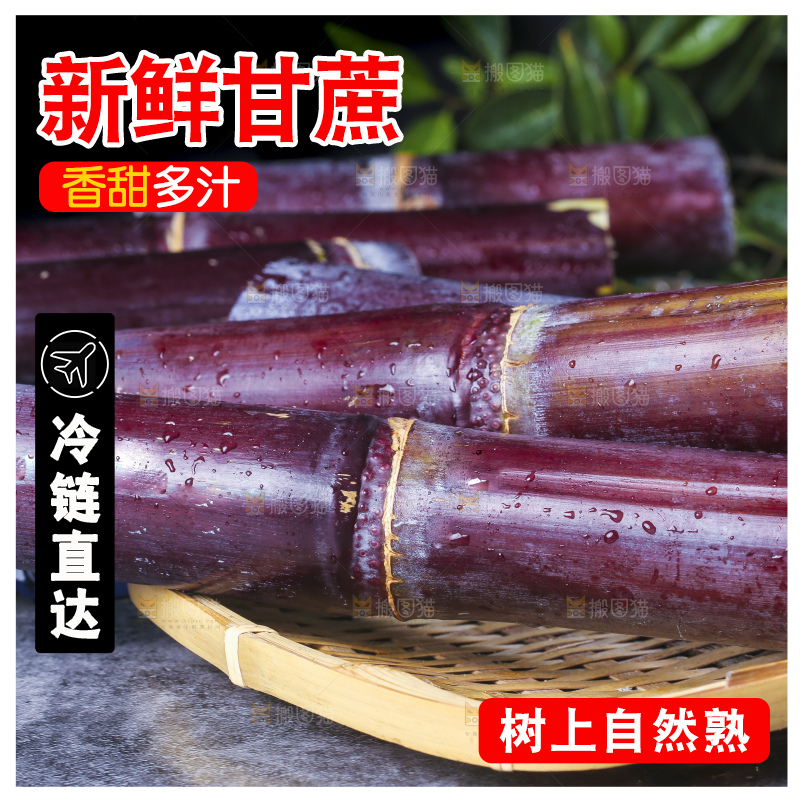 深底上的广西黑皮甘蔗