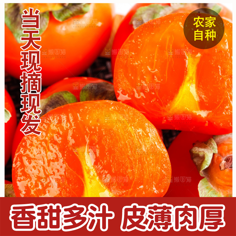 白底上摆放着新鲜柿子