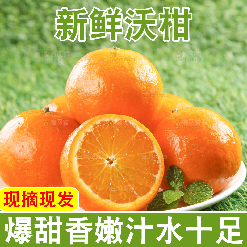 草地上放着贵妃柑