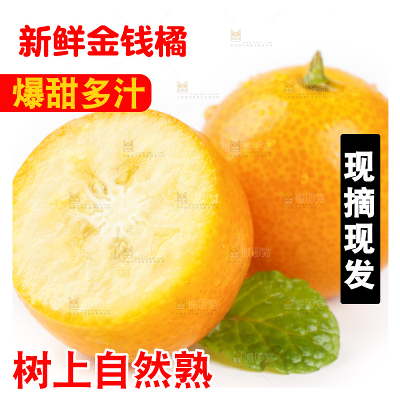 白底上的金桔