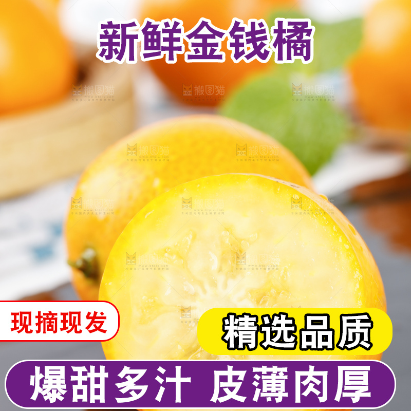 黑石板上的广西金钱橘