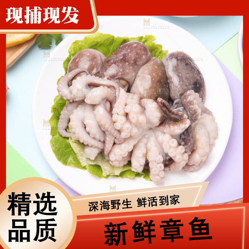 盘子里的八爪鱼