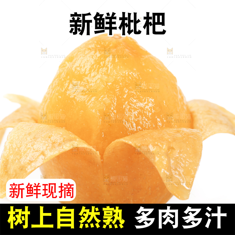 白底上摆放着米易枇杷