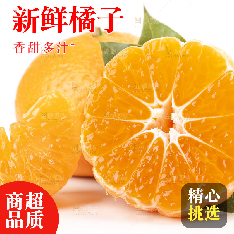白底上的椪柑橘