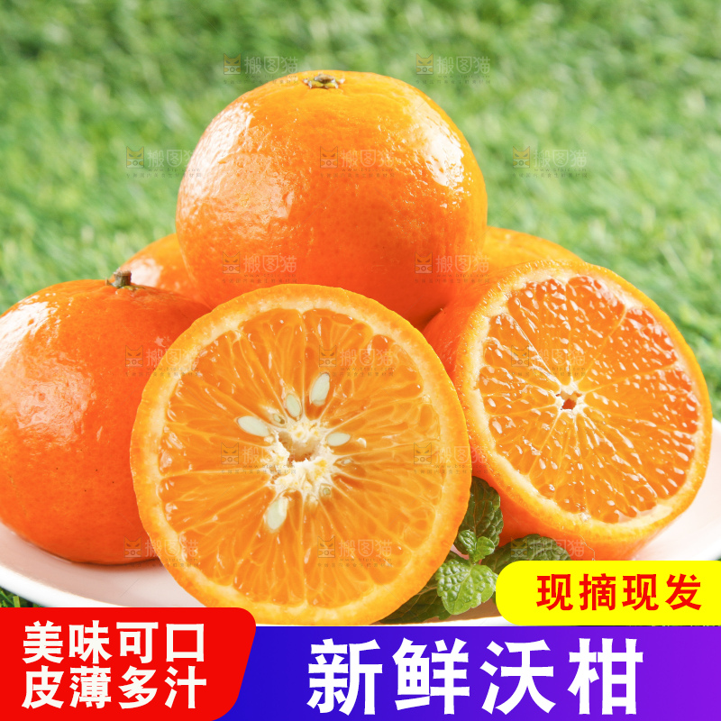 草地上放着贵妃柑