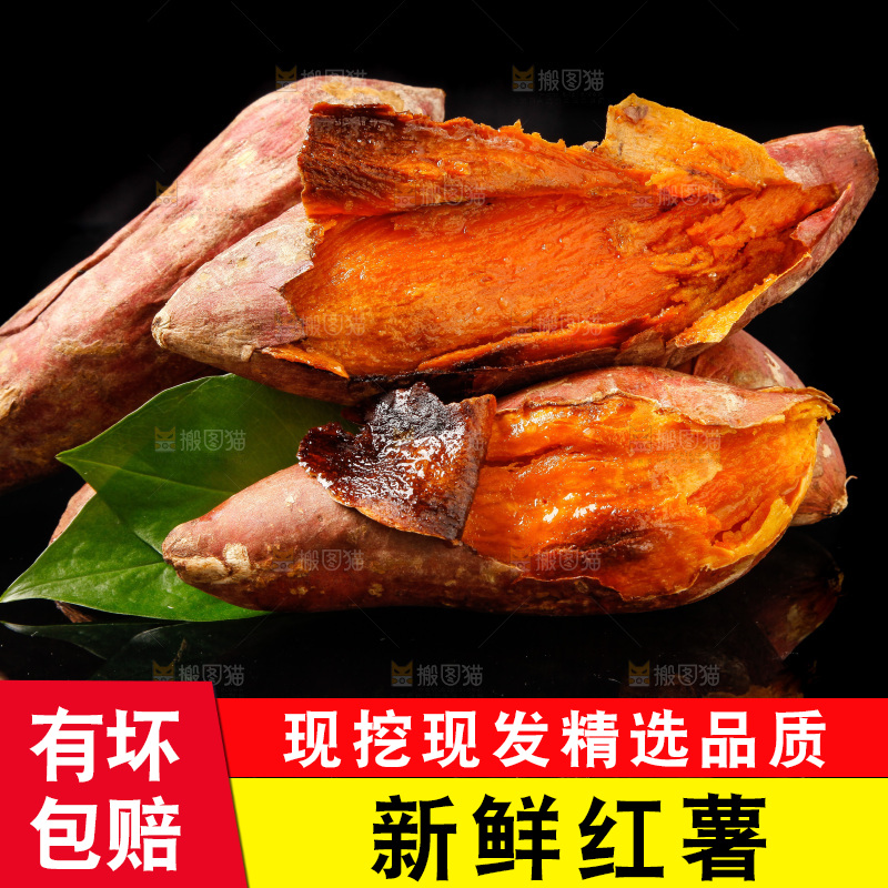黑底上的烟薯25号