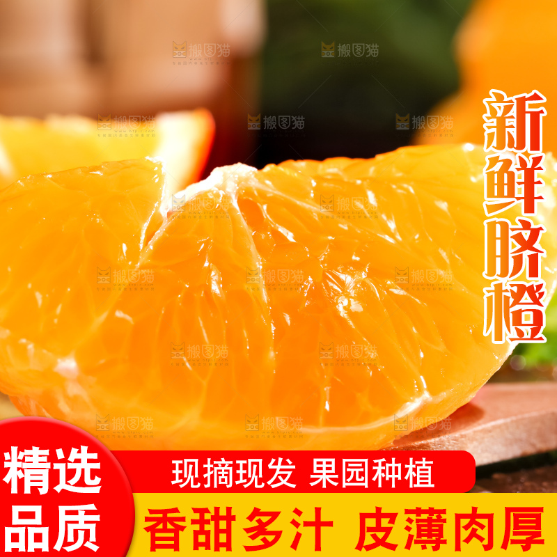 黄板子上的脐橙
