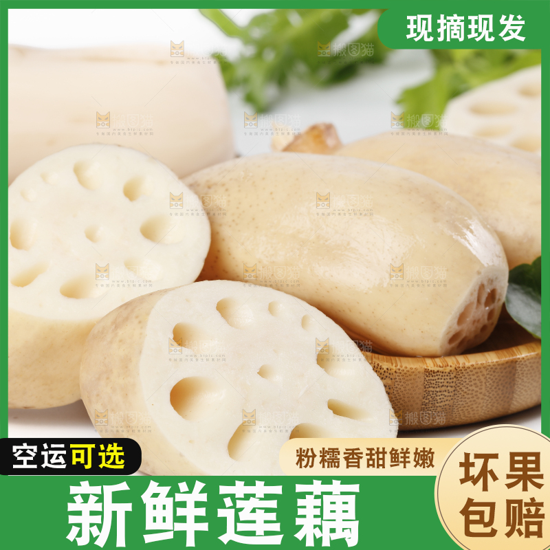 白底上的莲藕和篮子里的藕