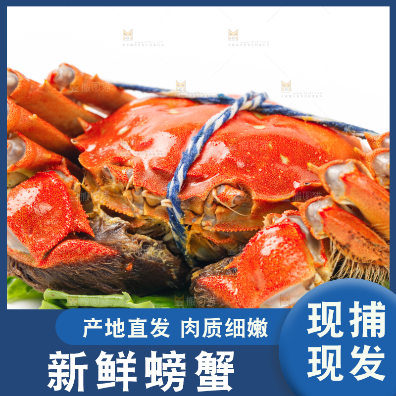 白底上放着螃蟹