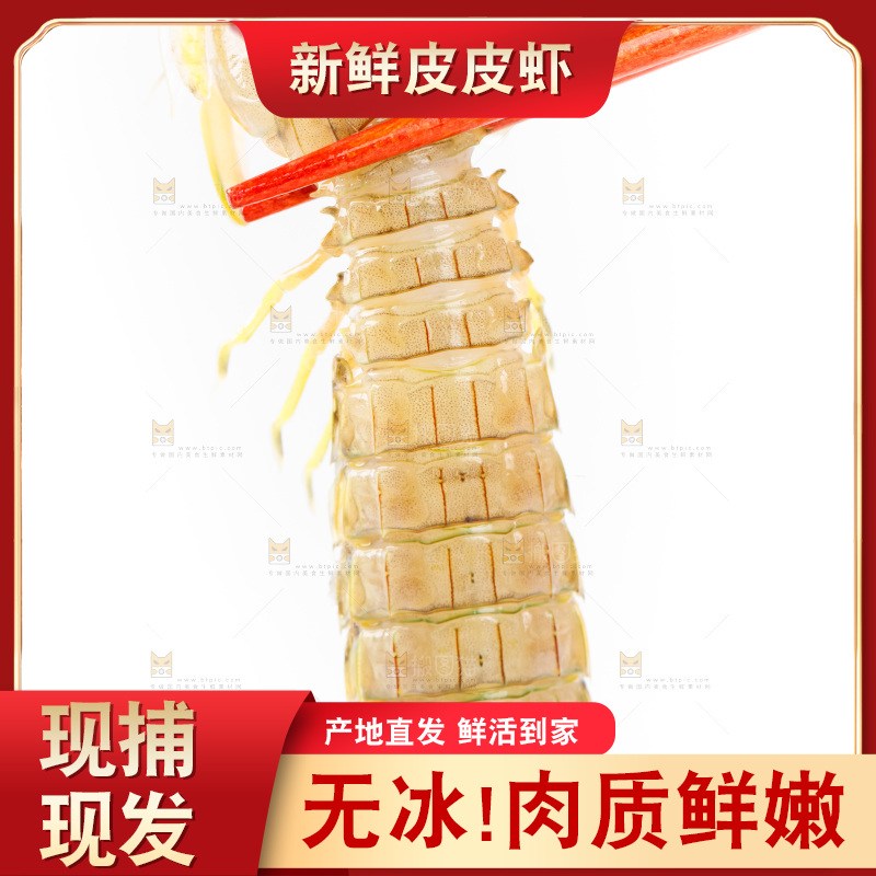 筷子上夹着虾姑