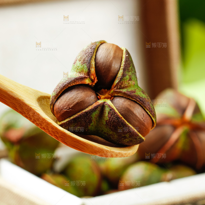 深底上的茶树果