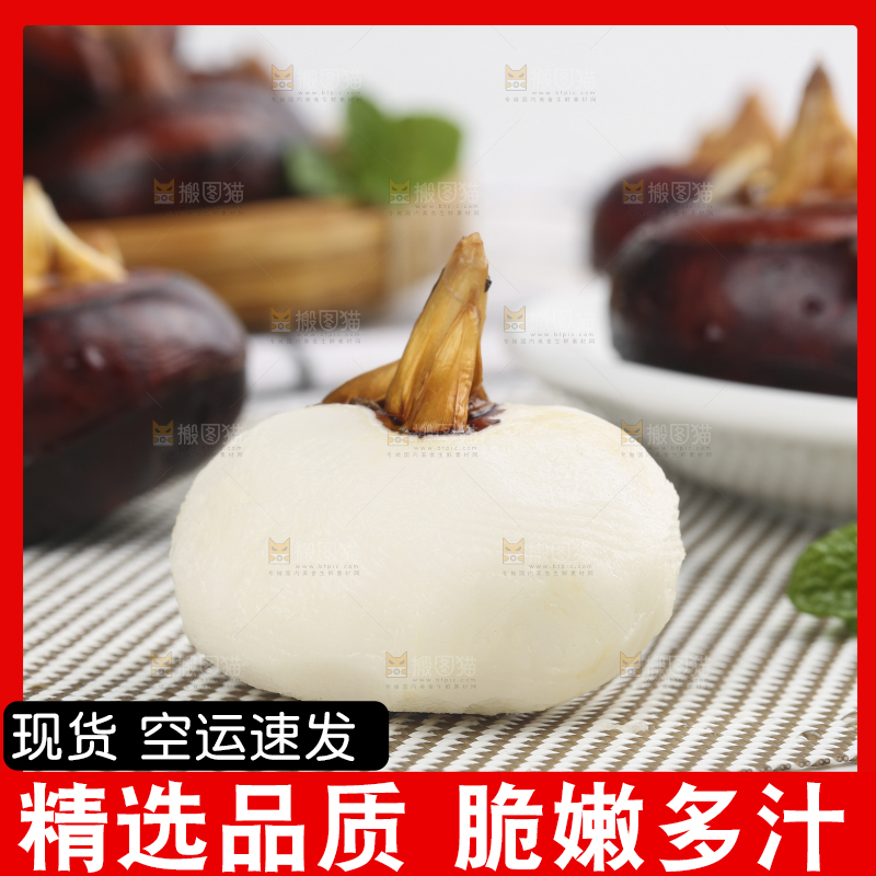 浅底上的马蹄果