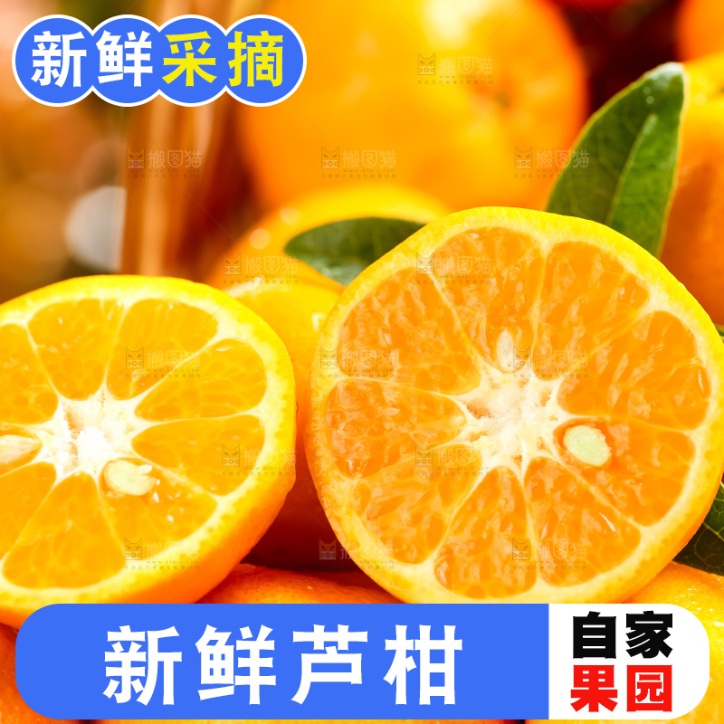 黄底上的椪柑橘