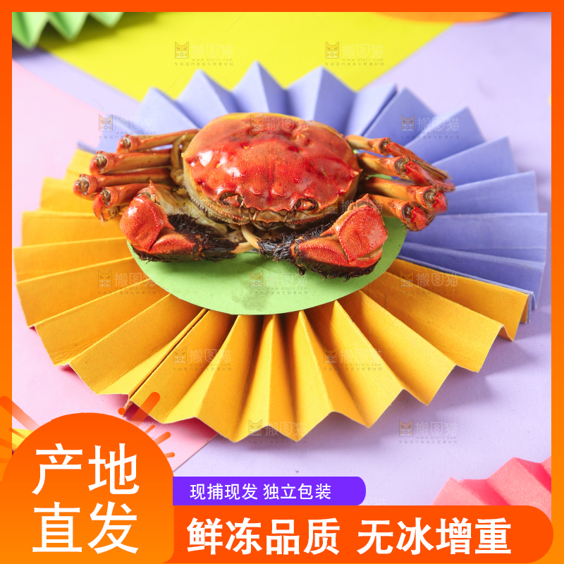 彩底上的螃蟹
