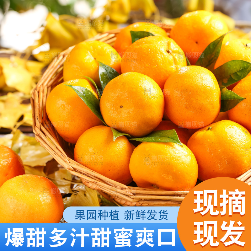 篮子里装着一篮椪柑