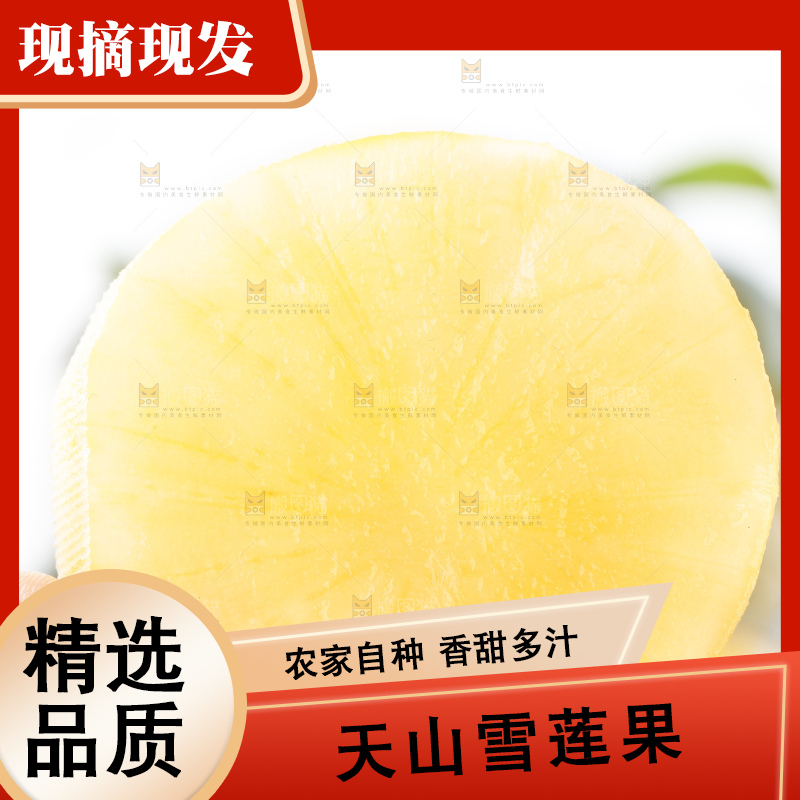 手里拿着新鲜雪莲