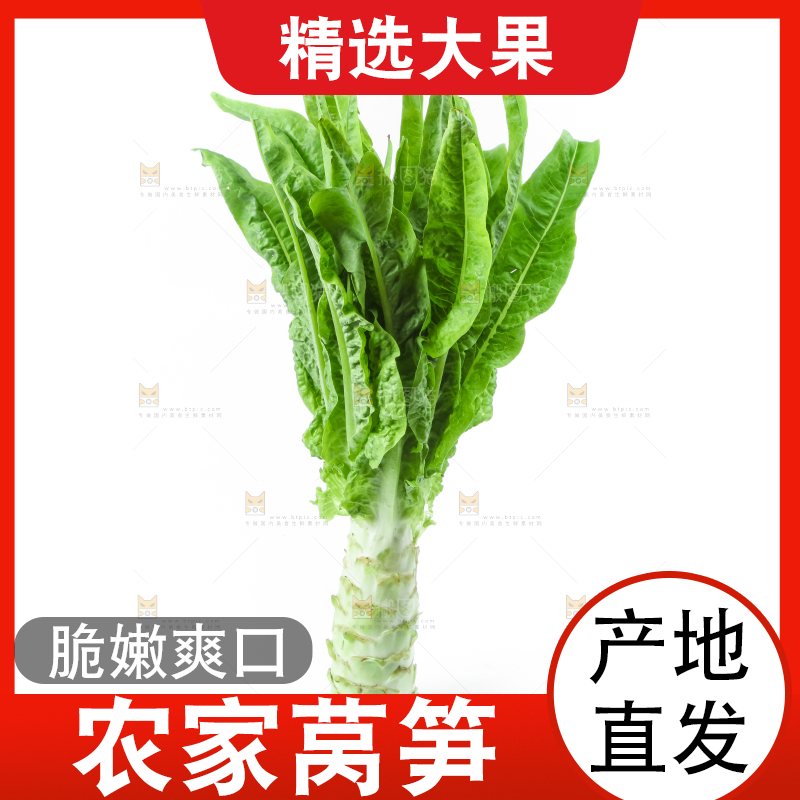 白底上的莴笋