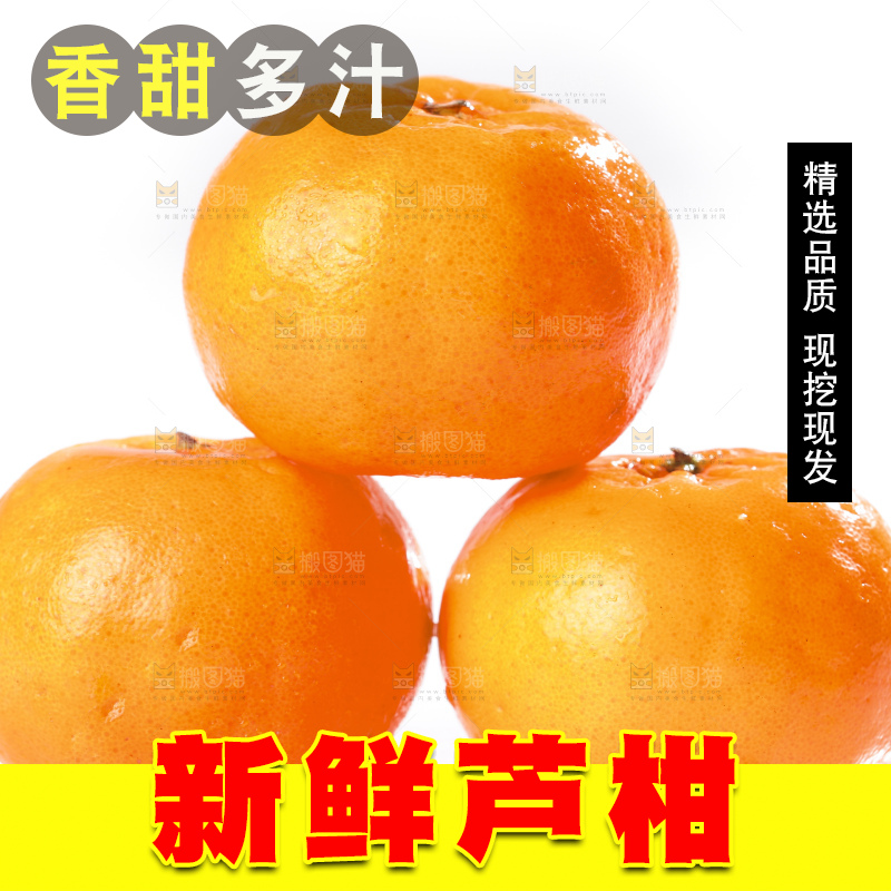 白底上的芦柑