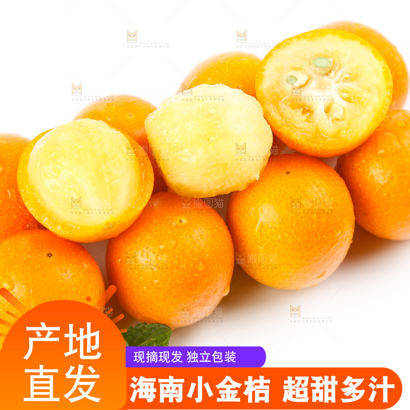 白底上的融安小金桔