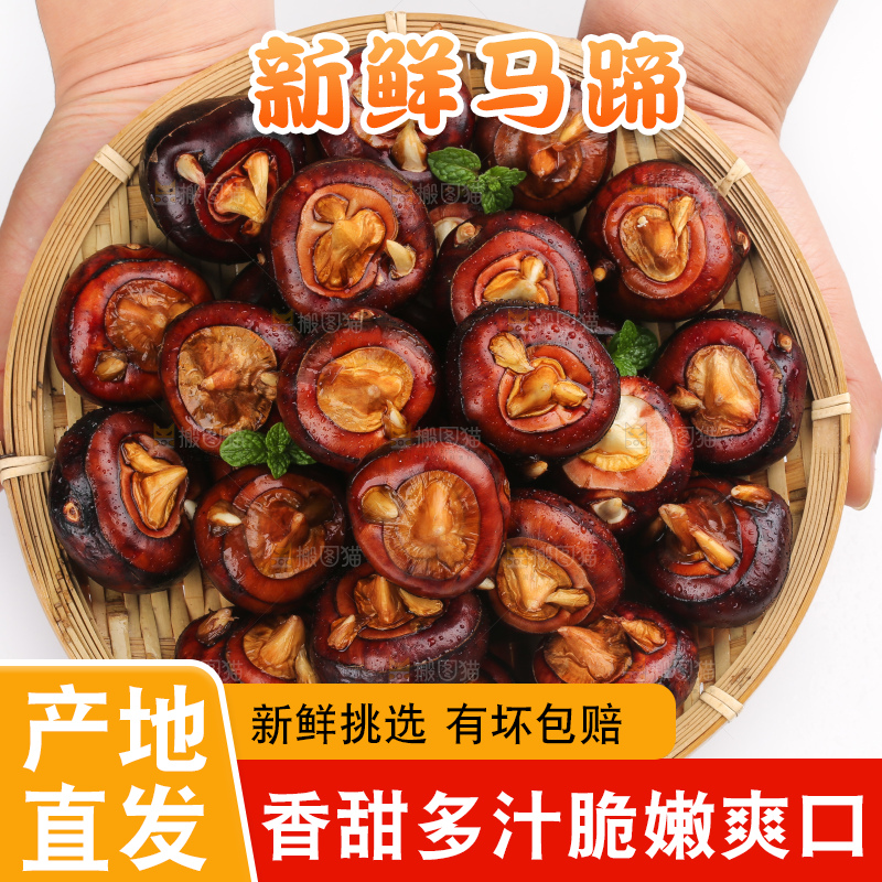 篮子里的荔浦马蹄