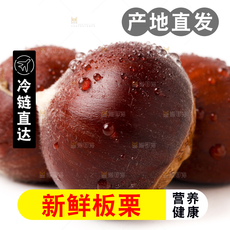 白底上一堆栗子