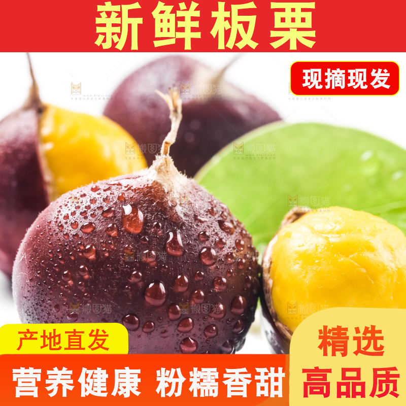 白底上放着迁西板栗