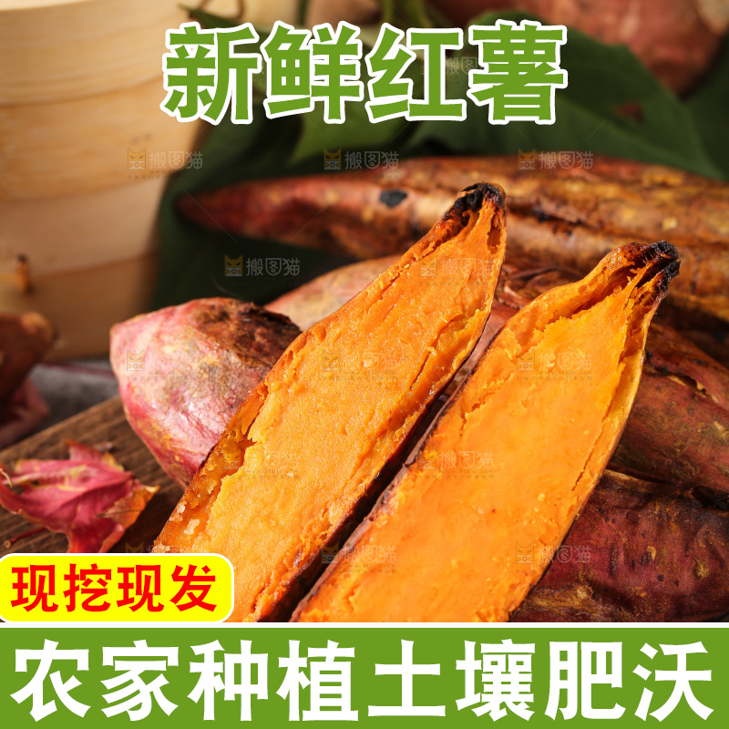盘子里装着烟薯25号
