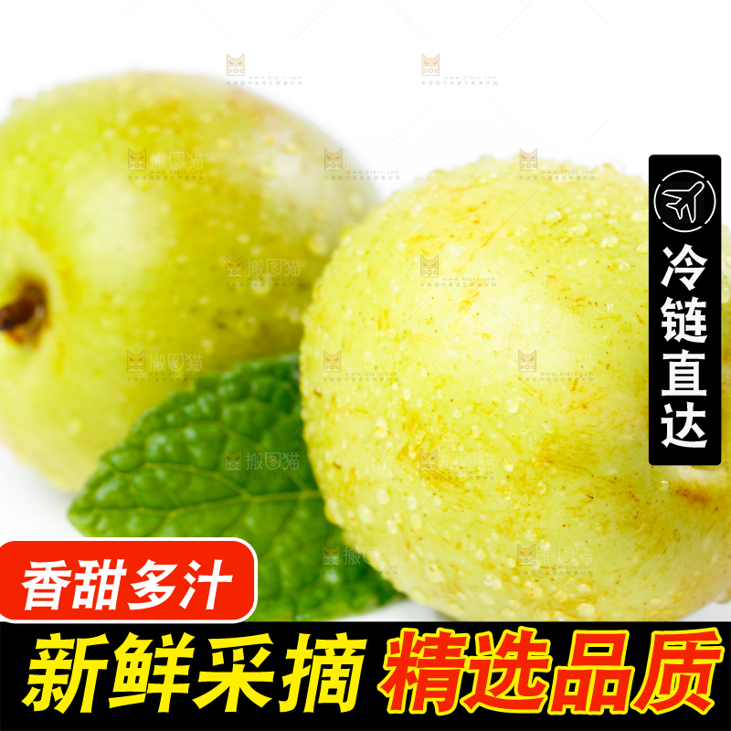 白底上的冬枣
